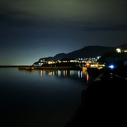 [港の夜景]