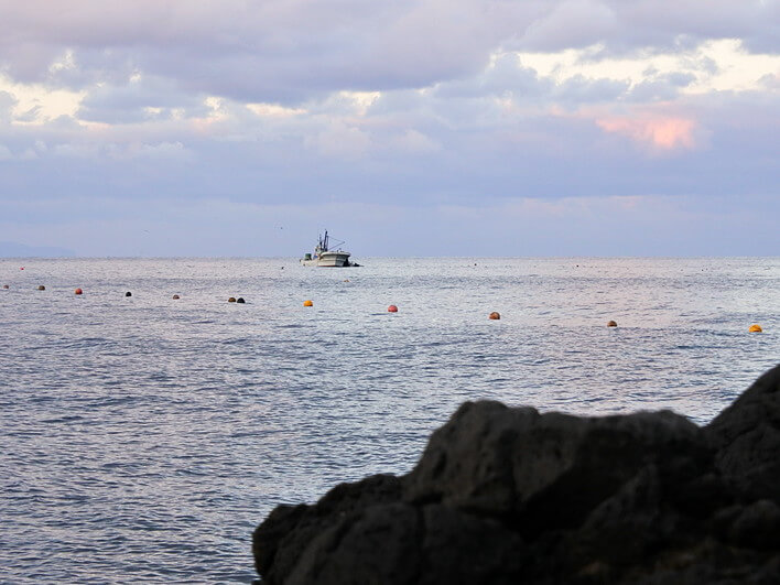 サケ定置の網上げ