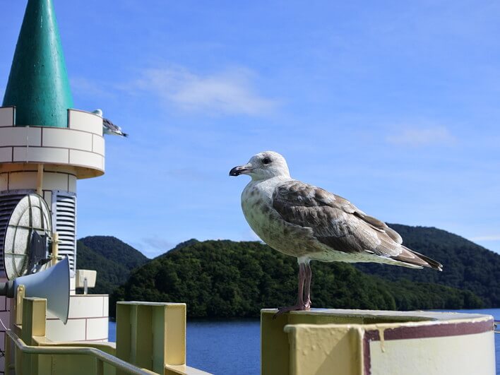 遊覧船で中島へ