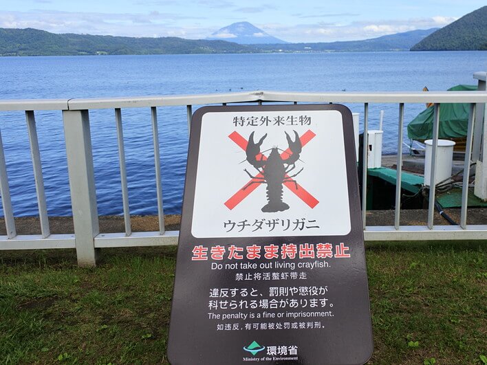 ウッチーは見当たらず