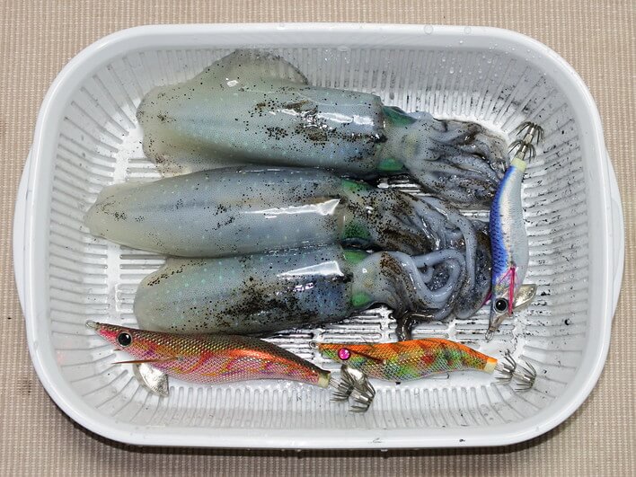 Maxサイズは113g