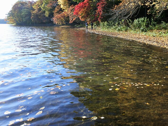 ヒメマスの湖岸産卵ポイントだった