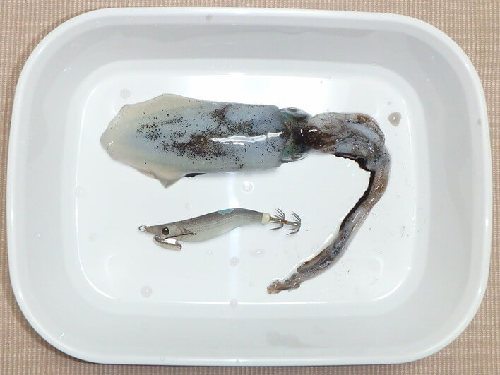 小さめ76g