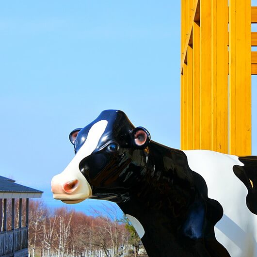 モーヤバいかも