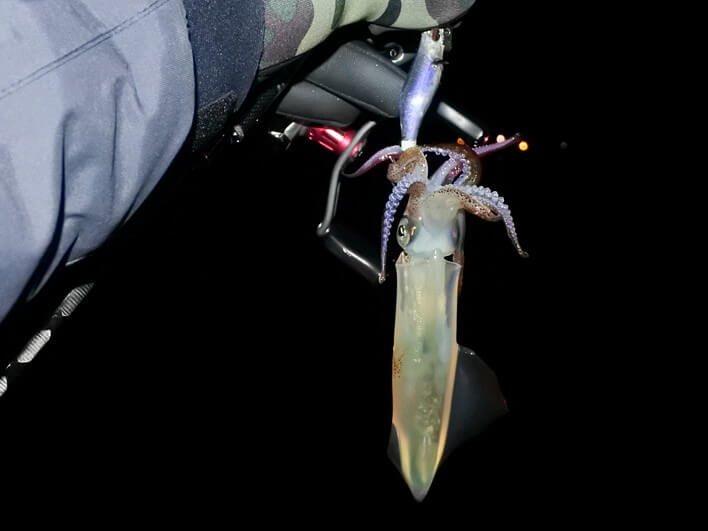 マメ3杯で撃ち止め・・