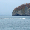 [晩秋の海]