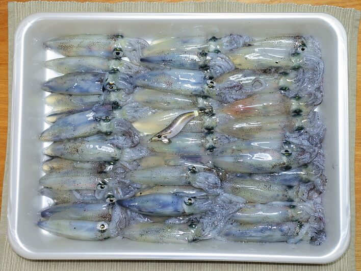 トータル37杯、35連続キャッチ！