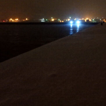 [ツインイカライト]