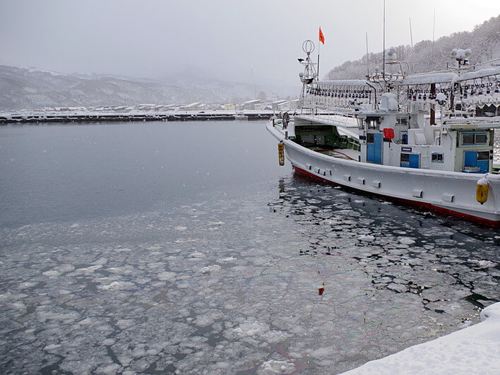 雪が溶けずに浮いてる