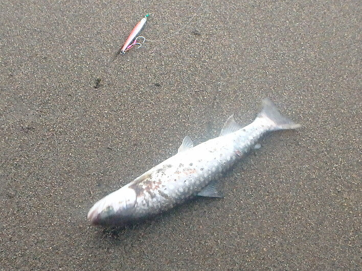順調に2本目