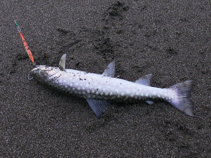 40ぐらい・・