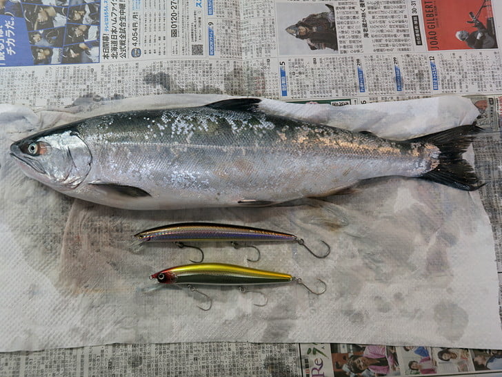 次はジャークでキャッチしたいな