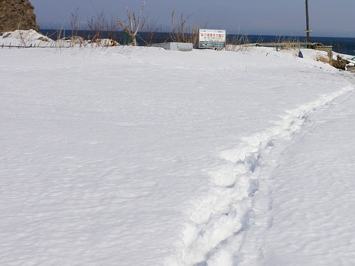 釣り人の踏み跡