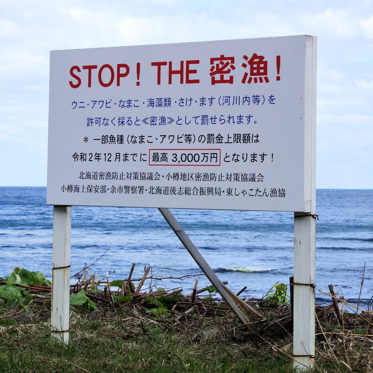 [漁業法改正]