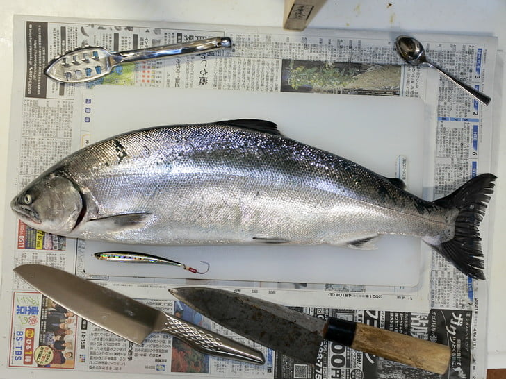 さばかせていただきマス