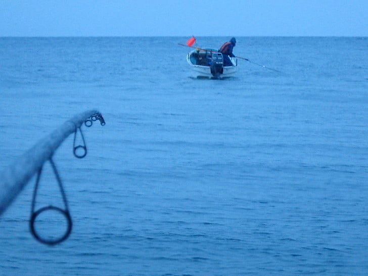 マス網、近いなぁ・・