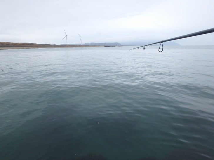 けっきょく掛けられず・・