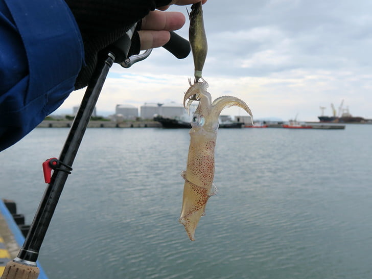 シャロー化アジラトルで何とか