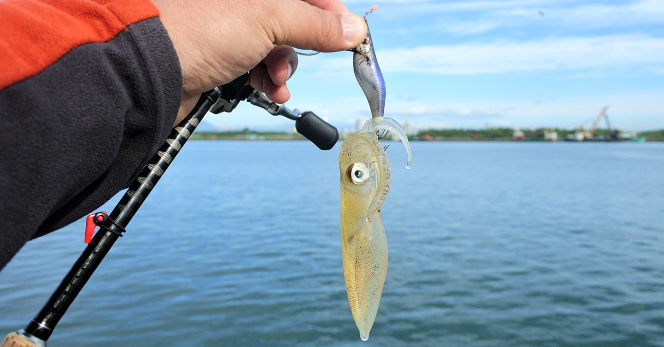 沖め深ダナで乗った