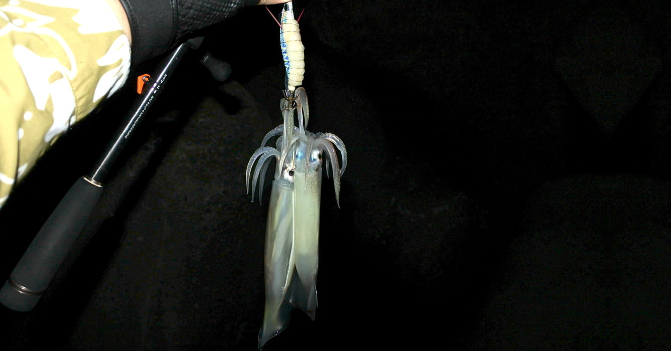 ダ、ダブルマイカ！