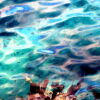 [Marble Candy Sea]