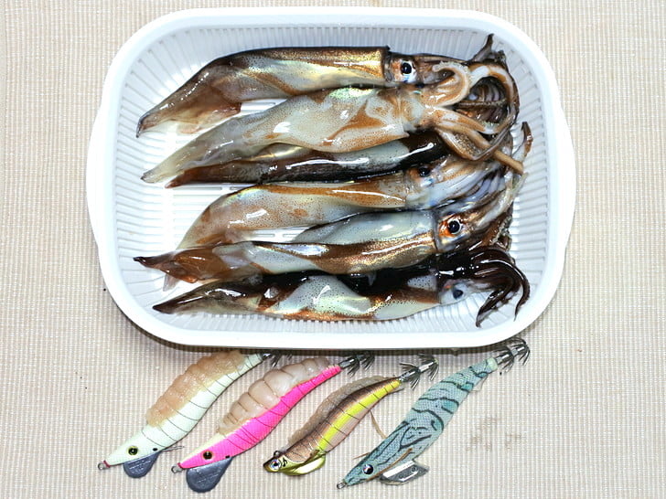 後半ボーズで6杯止まり
