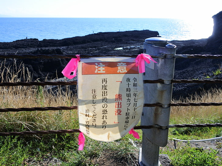 クマ、うちの周りの方が出てる・・