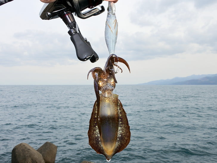 リアルチビサイズ