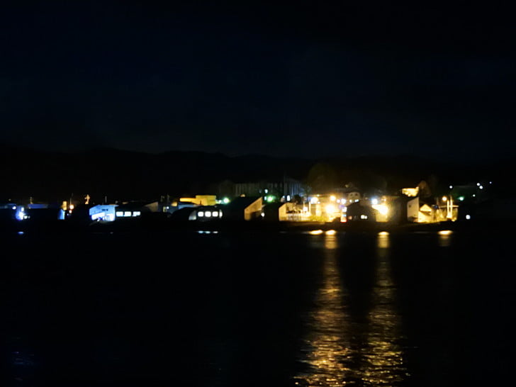 夜・・釣り人激減