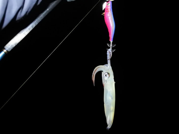 2.5SSでラストキャッチ