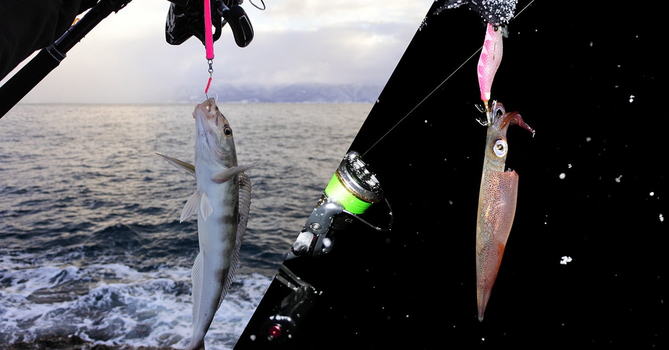 昼の部／夜の部