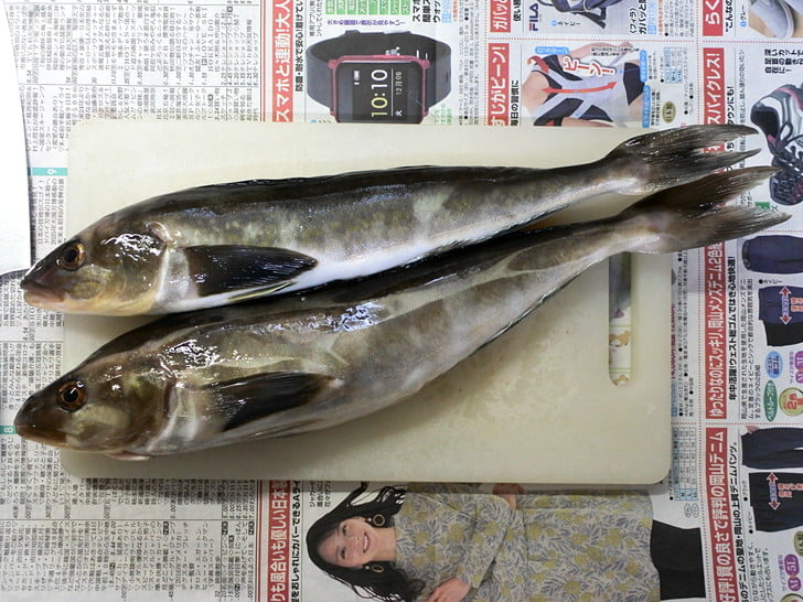 ひとり1匹当たればオッケー