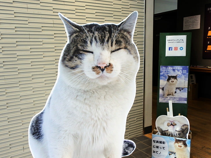 写真展行ってきた