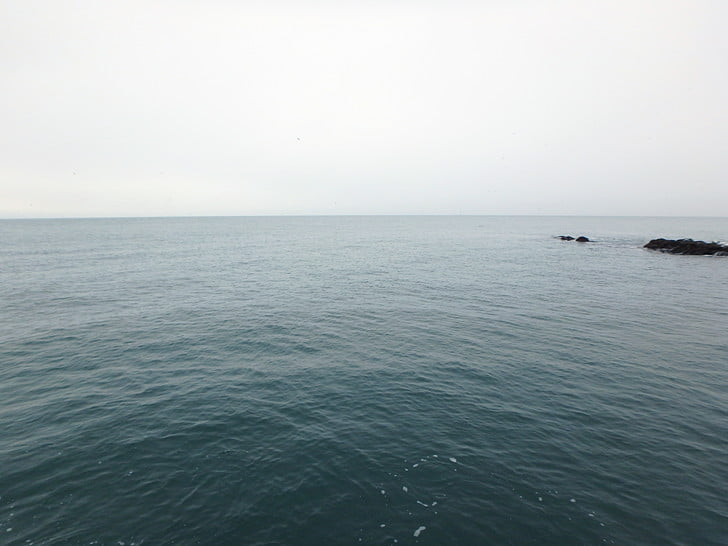 思ったよりおだやか