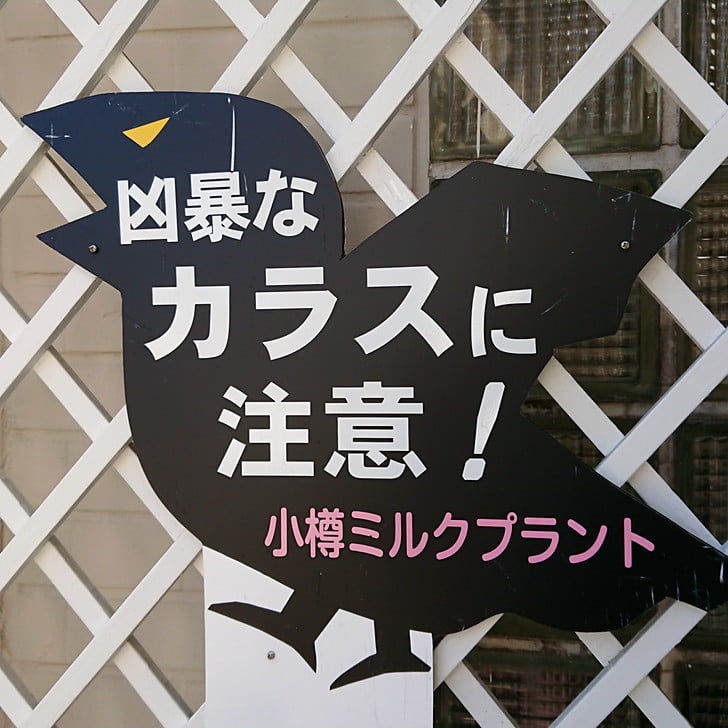 [凶悪なキョエちゃん]