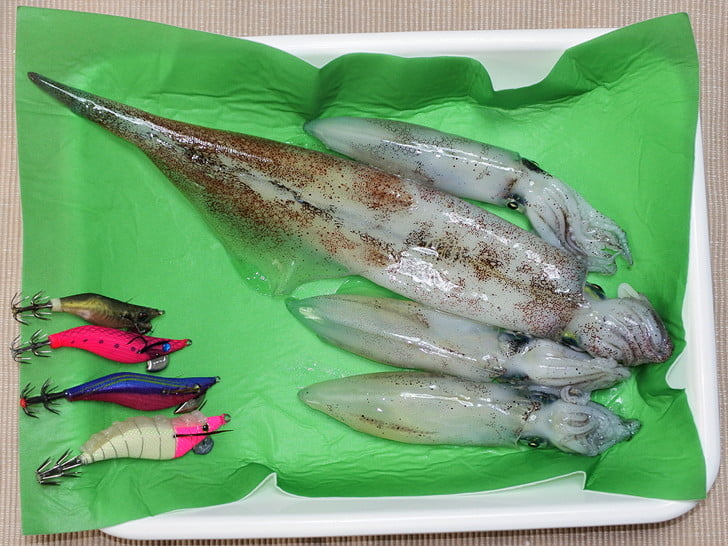 なんとか1食分