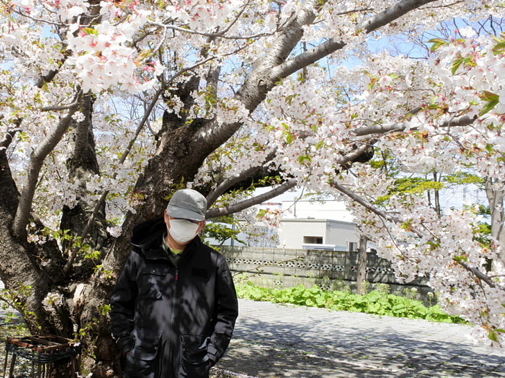 桜の下で記念写真