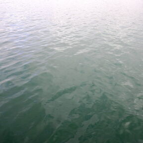 [海面無活性]