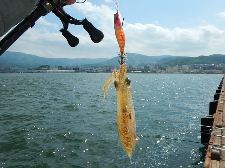 釣り方分かってきた