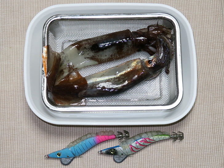 4打数2安打・・