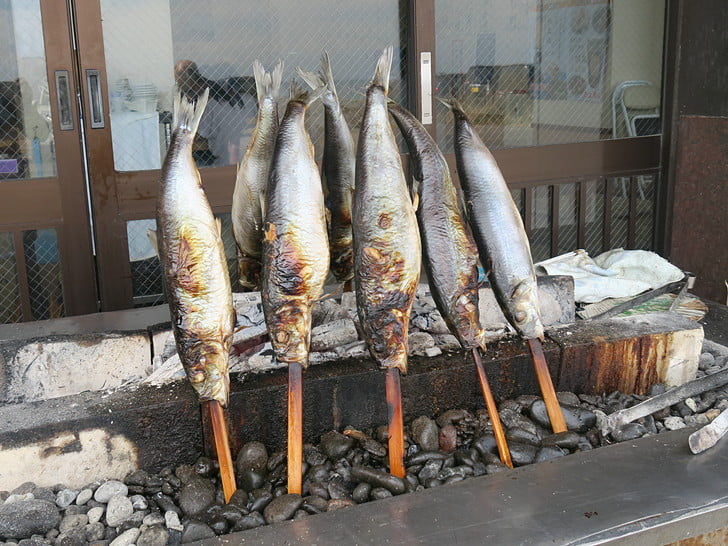 ニシンでかっ