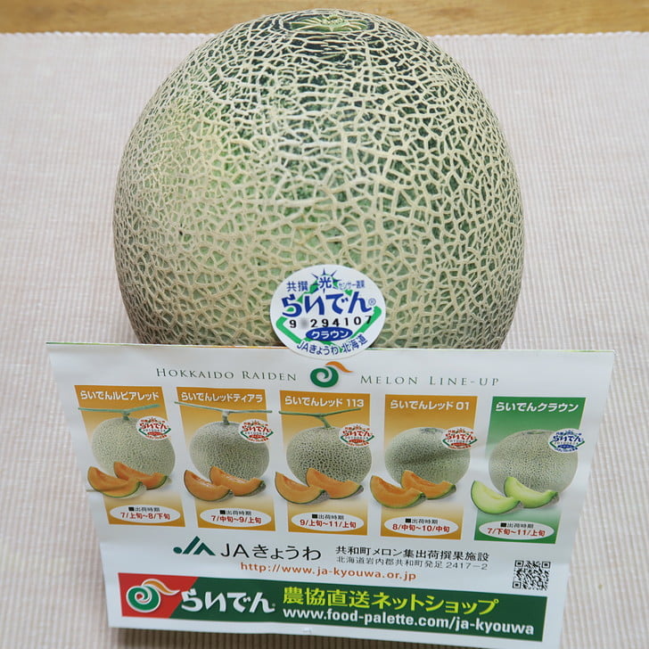 [らいでんメロン]