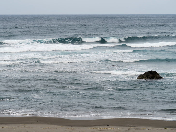 もうすぐ海アメも楽しみ