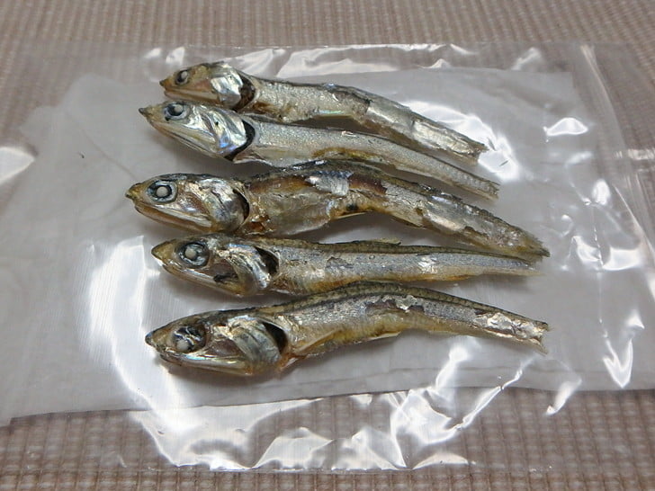 エサ巻きエギ用煮干し