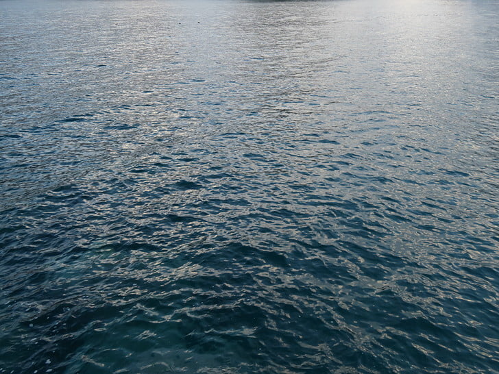 海のコンディションは良さそう