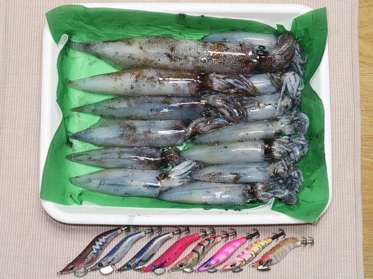 ヤリ5マメ8