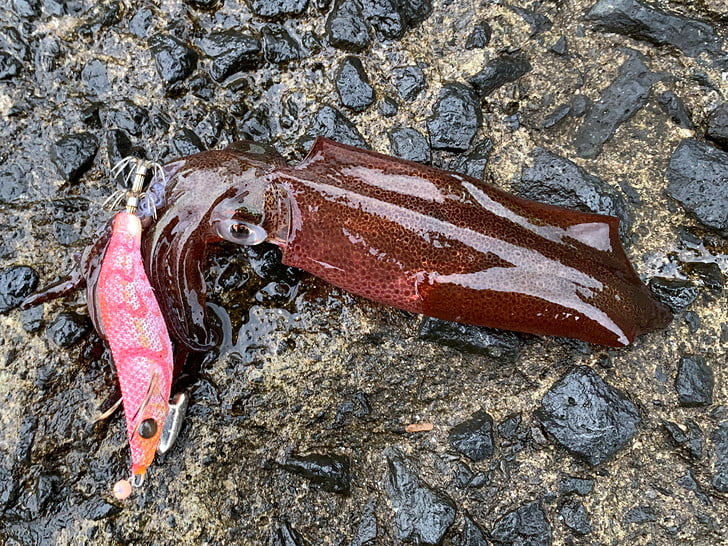 地べたに置いて撮影・・