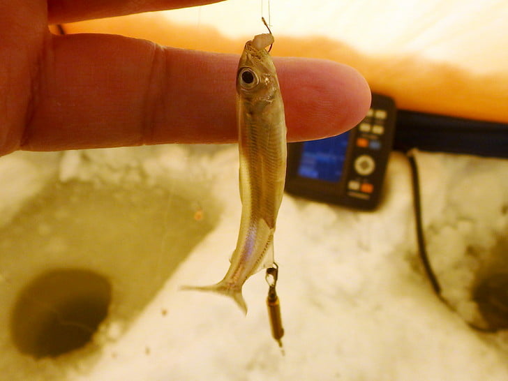 来ちゃった・・