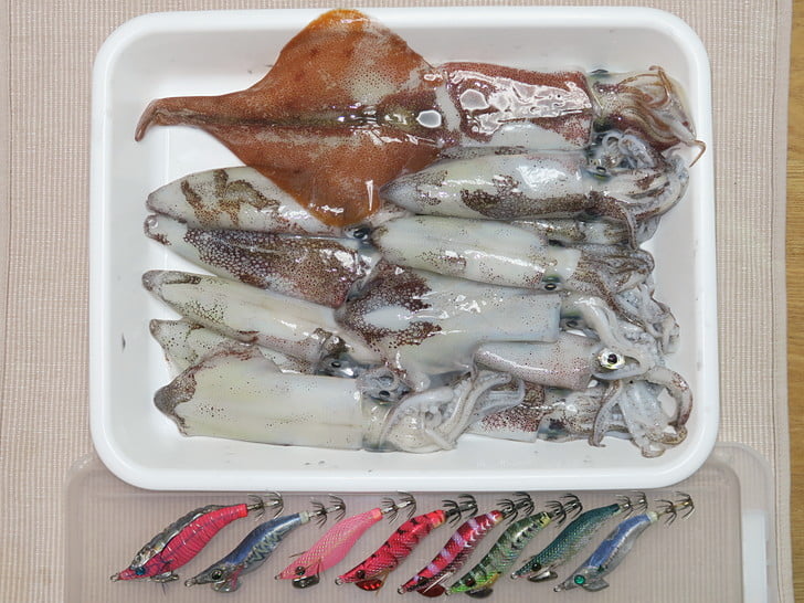 マメ11、ヤリ1
