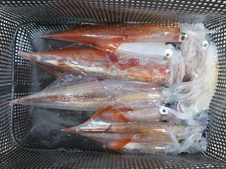 じゅうぶん満足